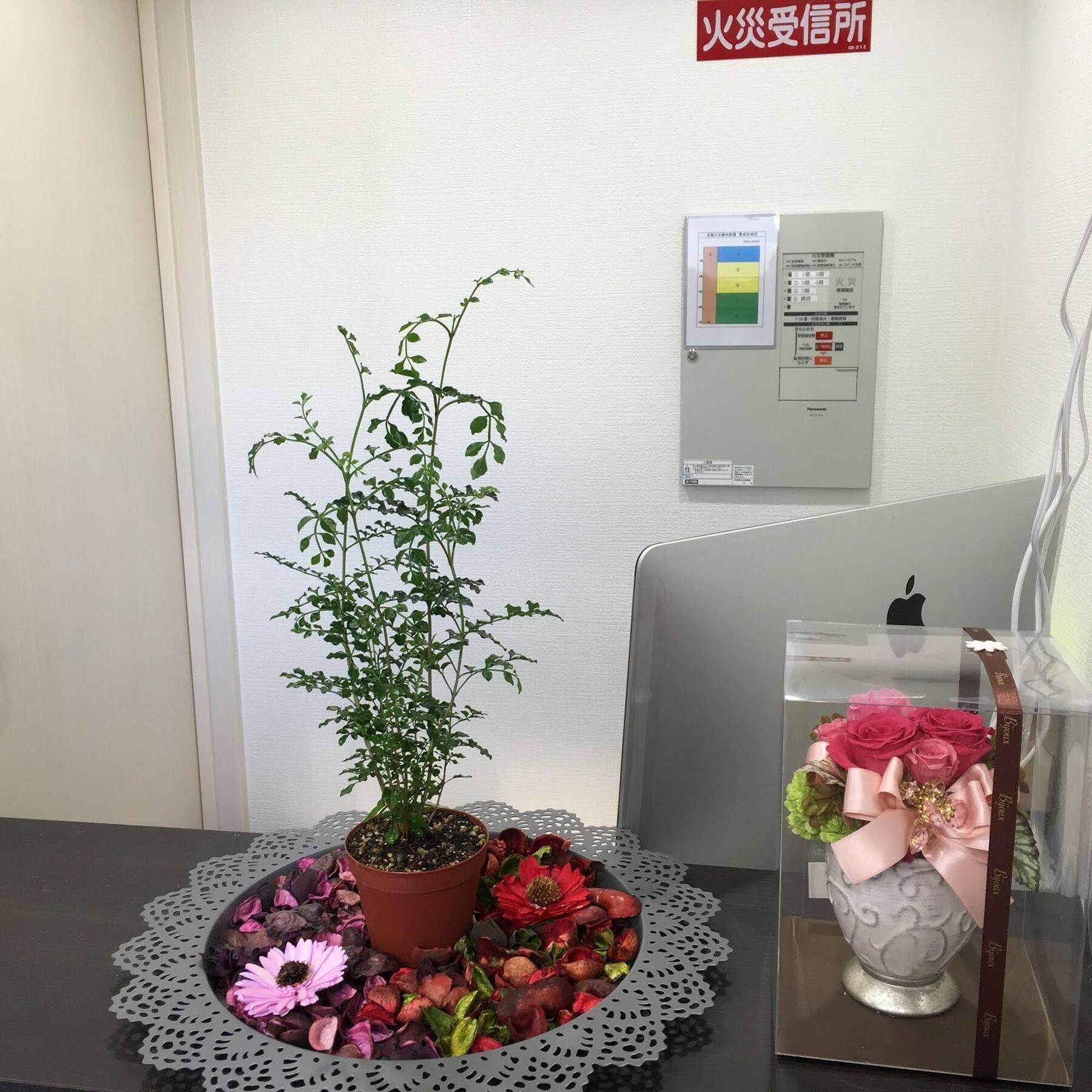 Coco Hostel Namba Osaka Ngoại thất bức ảnh